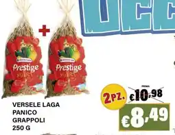 Zoomiguana Versele laga panico grappoli offerta