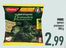 Ciro Amodio Findus Ciuffetti di Spinaci Primavera offerta