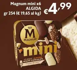 Maxi Supermercati Algida Magnum mini offerta