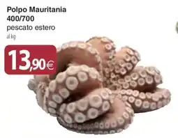 Docks Cash&Carry Polpo Mauritania offerta