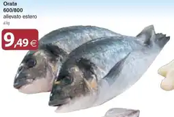 Docks Cash&Carry Orata offerta