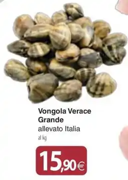 Docks Cash&Carry Vongola Verace Grande offerta