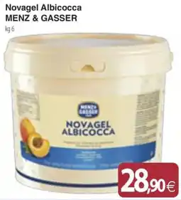 Docks Cash&Carry Novagel Albicocca Menz & Gasser offerta
