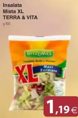 Docks Cash&Carry Insalata Mista XL Terra & Vita offerta
