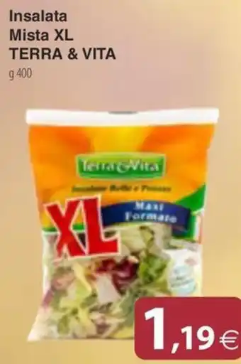 Docks Cash&Carry Insalata Mista XL Terra & Vita offerta