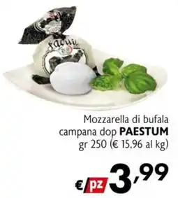 Eurospesa Mozzarella di bufala campana dop Paestum offerta
