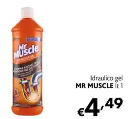 Eurospesa Idraulico gel Mr Muscle offerta