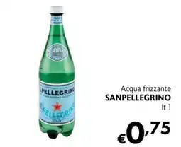 Eurospesa Acqua frizzante Sanpellegrino offerta