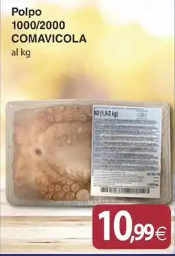 Docks Cash&Carry Polpo COMAVICOLA offerta
