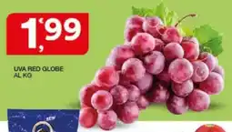 Quick Sisa Uva Red Globe offerta