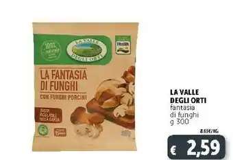 Deco Supermercati Fantasia di funghi 300 g(ml) offerta