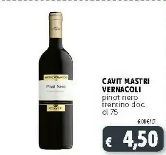 Mastri vernacoli pinot nero trentino doc cl 75