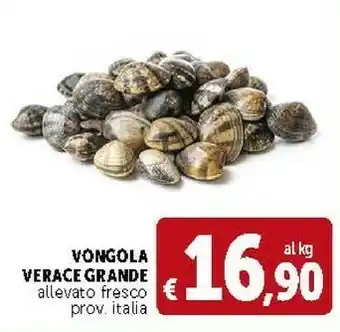 Deco Supermercati Vongole offerta