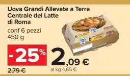 Carrefour Uova Grandi Allevate a Terra Centrale del Latte di Roma offerta
