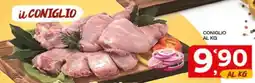 Sisa Coniglio offerta