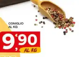 Sisa Coniglio offerta