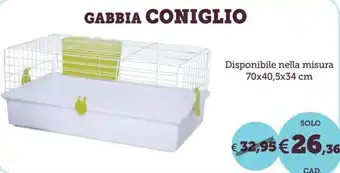 Gabbia coniglio