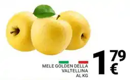 Supermercati Gulliver Mele Golden della Valtellina offerta