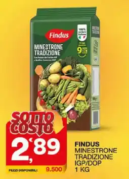 Sisa Findus Minestrone Tradizione offerta