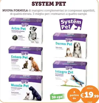 System Pet