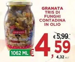 Jero Market Granata tris di funghi contadina in olio offerta