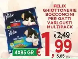 Jero Market Felix ghiottonerie boccioni per gatti offerta
