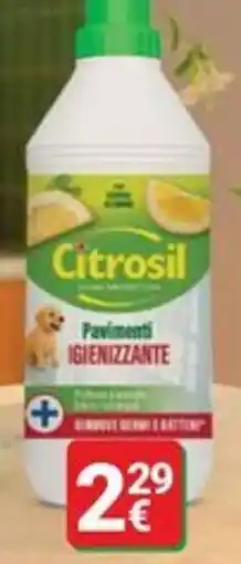 Supermercati Gulliver Citrosil Pavimenti Igienizzante offerta