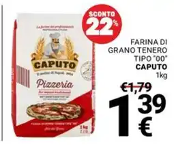 Supermercati Gulliver Farina di grano tenero tipo "00" Caputo offerta