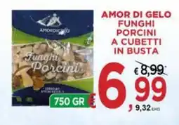 Jero Market Amor di Gelo Funghi Porcini offerta