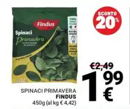 Supermercati Gulliver Spinaci Primavera Findus offerta