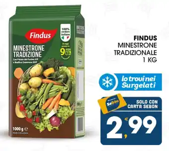 SeBón Supermercati Findus Minestrone Tradizionale offerta