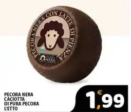Premium Supermercati Pecora nera caciotta di pura pecora offerta