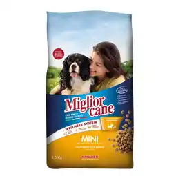 Mercati di Città La Prima MIGLIOR CANE offerta