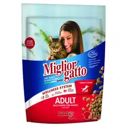 Mercati di Città La Prima MIGLIOR GATTO offerta