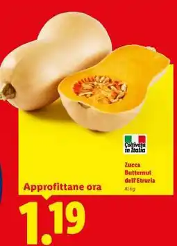 Lidl Zucca Butternut dell'Etruria offerta
