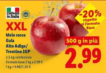 Mele rosse Gala Alto Adige/Trentino IGP XXL