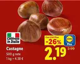 Lidl Castagne offerta