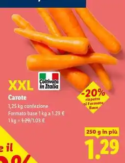 Lidl Carote offerta