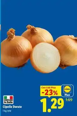 Lidl Cipolle Dorate offerta