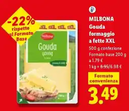Lidl Milbona Gouda formaggio a fette XXL offerta
