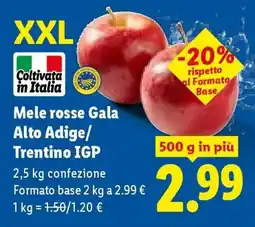 Lidl Mele rosse Gala Alto Adige/Trentino IGP offerta