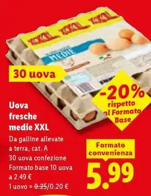 Uova fresche medie XXL