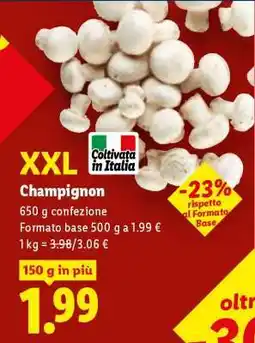 Lidl Champignon XXL offerta