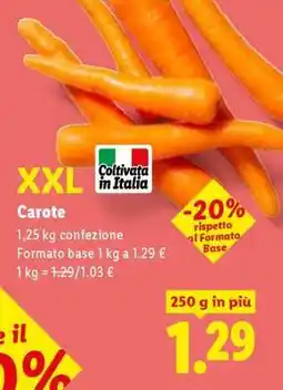 Lidl Carote XXL offerta