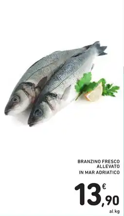 Spazio Conad Branzino fresco allevato in mar adriatico offerta