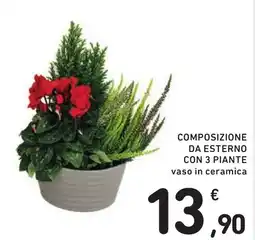 Spazio Conad Composizione da esterno con 3 piante offerta