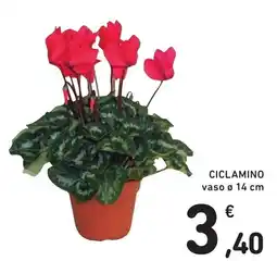 Spazio Conad Ciclamino offerta