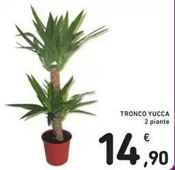 Spazio Conad Tronco Yucca offerta