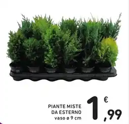 Spazio Conad Piante miste da esterno offerta