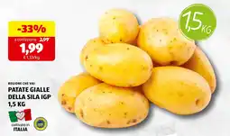 ALDI Patate gialle della Sila IGP offerta
